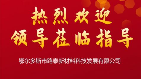 公司要聞丨達拉特經濟開發區領導蒞臨公司調研指導